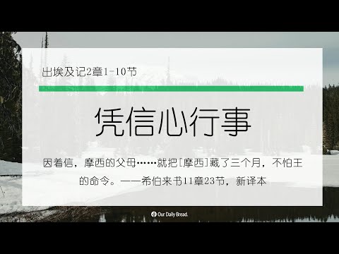 12月28日《灵命日粮》文章视频-凭信心行事