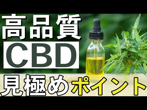 【品質を見抜く！】高品質CBDを見極める重要ポイント！