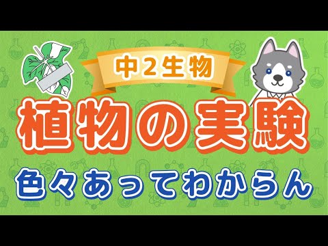 中2理科『植物の働きと実験』