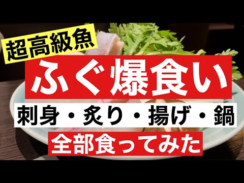 【超高級魚！ふぐ爆食い！刺身 炙り 揚げ 鍋!全部食ってみた!】#グルメ #ふぐ #鍋#刺身