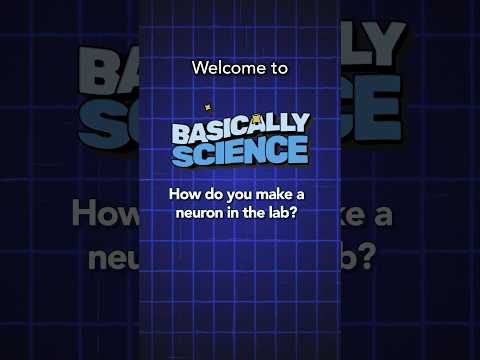 How do you make a neuron in the lab? | Basically Science