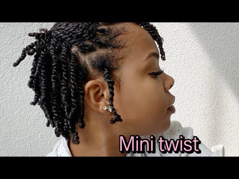 My moisturized mini twist for | dry Natural Hair |