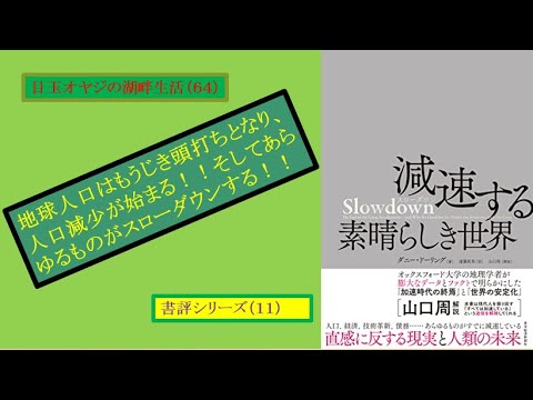 湖畔生活（6４）『減速する素晴らしき世界』（書評シリーズ）