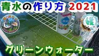 青水（グリーンウォーター）の作り方～ハイポネックスからイージーグリーンへ～【媛めだか】