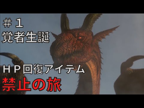 【ドラゴンズドグマダークアリズン】HP回復アイテム縛りの旅＃1【ゆっくり実況】