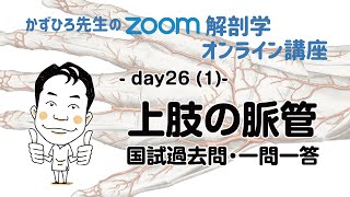 zoom解剖学 day26(1) 循環器系 - 上肢の脈管 問題解説