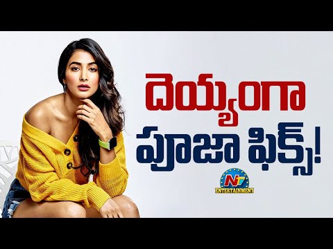 Actress Pooja Hegde Upcoming Movie Update..? | Raghava Lawrence | NTV ENT