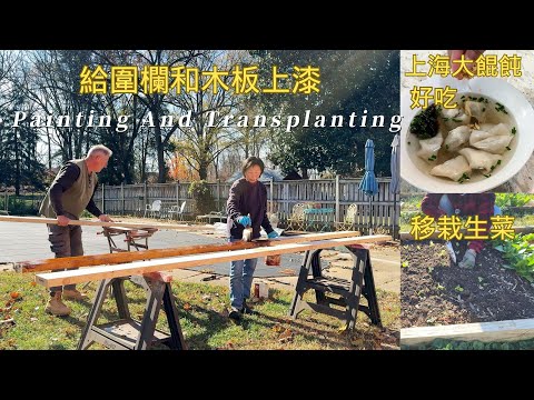 【華園花道】看看深秋的菜園，還有哪些菜｜移栽生菜｜清理殘花｜做上海大餛飩｜給圍欄上漆｜Transplanting Lettuce｜Making Shanghai Wontons｜Painting