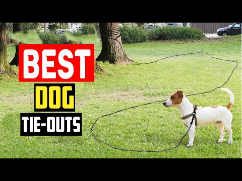 ✅Top 5 Best Dog Tie Outs and Yard Leashes for Safety on a Line