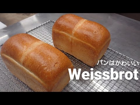 Weissbrot(ヴァイスブロート)。ドイツ語で「白いパン」という意味。白くてもちもち。かわいいぱんです。