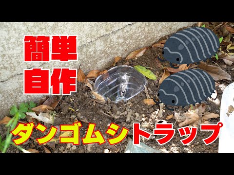 【自作ダンゴムシトラップ】簡単ダンゴムシ捕獲 ダンゴムシトラップの作り方 ペットボトルで簡単作成 ガーデニング対策 ダンゴムシワラジムシ対策