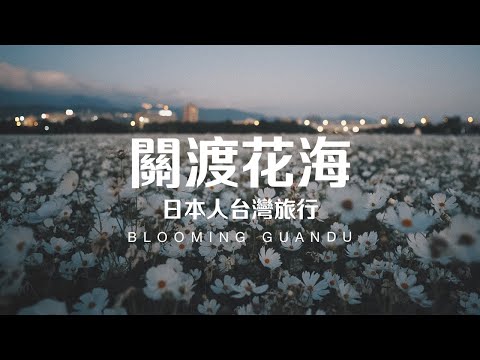 Taiwan Travel: Blooming Guandu | Taipei