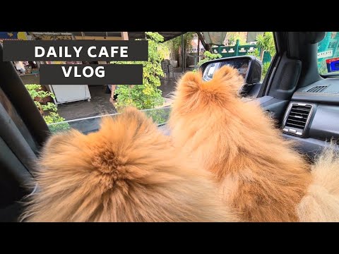 5月15日  #cafevlog  #melaka