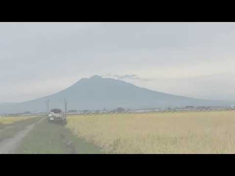 つがる平野の田んぼ　これだけ広い田んぼ風景に感動！ドローンでないとこんな画見れないぞ