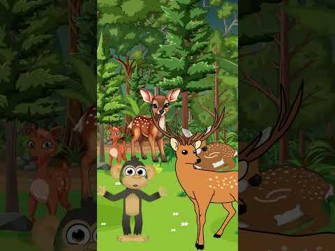 The Graceful Deer!! #youtubeshorts #viral #animation #preschool