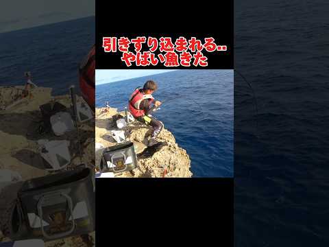 やばい巨大魚が釣れた#釣り#沖縄#波照間島