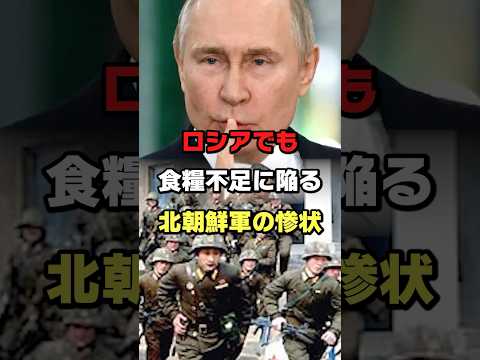 食糧争奪戦でロシア軍vs北朝鮮軍勃発#ロシア #ウクライナ #プーチン #ショート #shorts #ゆっくり解説