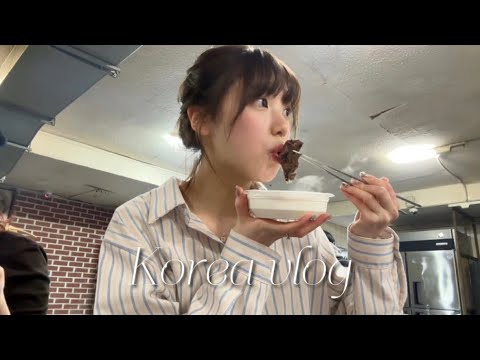 korea vlog 私の韓国旅行、こんな感じ。