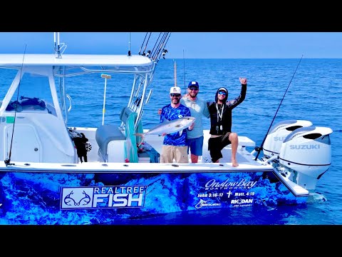 HAND FEEDING HUNDREDS OF AMBERJACK | YELLOWTAIL SNAPPER CATCH CLEAN COOK