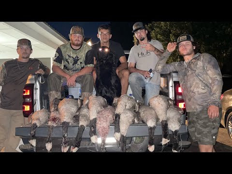 FLOCK’EM season 1. episode 1  early goose hunt