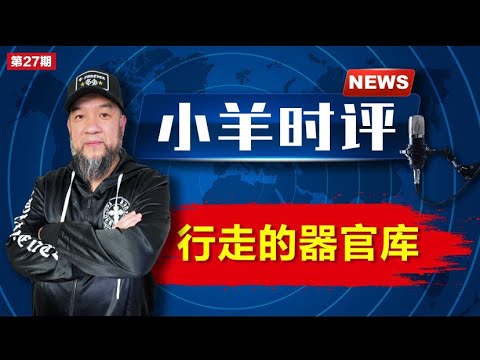 小羊之鼓与呼  第27期  20230823  行走的器官库