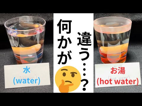 ウインナーは生きてるみたいに浮き沈みする！？