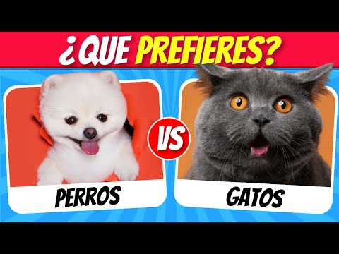 ¿Que PREFIERES? Edición ANIMALES 🐶🐱