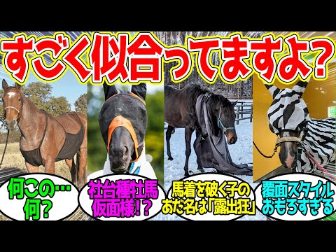 ふゆになるとヒトがきせてくるけどあれいらないよねに対するみんなの反応！【競馬 の反応集】