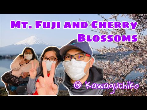 Mt. Fuji and Cherry Blossoms | Kawaguchiko, Japan