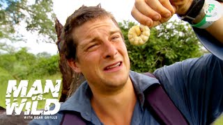 Bear Grylls’ Wildest Things Eaten | Man vs. Wild | Discovery