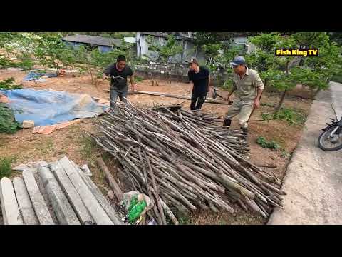 The Roar Of 2 Giant Python 300 Pound