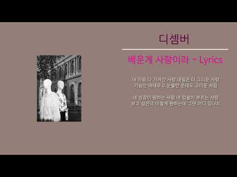 디셈버 - 배운게 사랑이라 (Lyrics)