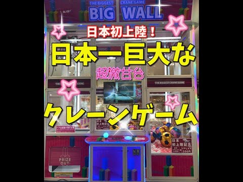 【巨大】日本で１番大きなクレーンゲームをしてみた！！！