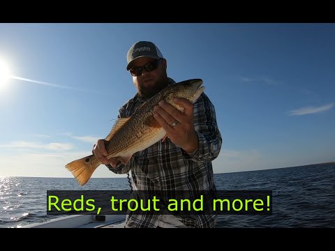 Red fish, trout, flounder and sea bass fishing! Red fish catch and cook on the half shell