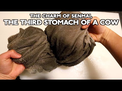 The charm of Senmai, the third stomach of a cow!