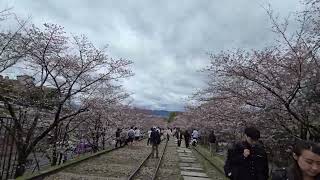 Japan - 蹴上傾斜鐵道 2024 04 04 11 10 02