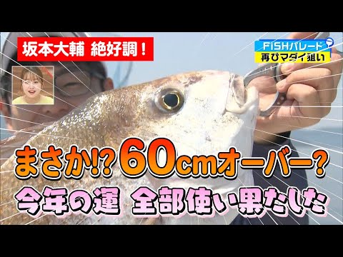 絶好調！まさかの60cmオーバー！？新作「勝手にマダイが釣れる」竿でタイラバに挑戦！【後編】｜FISHパレード（2024年7月5日放送）