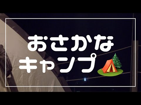 おさかなキャンプ🏕️【沖縄キャンプ】