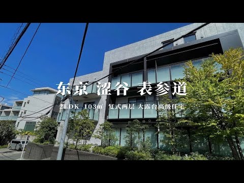 日本东京涩谷表参道低层少户复式大露台高级住宅