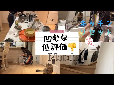 【小学生中学生ママ】朝4:00から後回しにしたキッチンリセット✨アンケートありがとうございました♡/家事動画/低評価