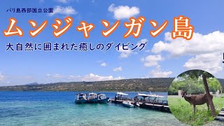 バリ島「ムンジャンガン島」でダイビング｜大自然に囲まれた癒しの海