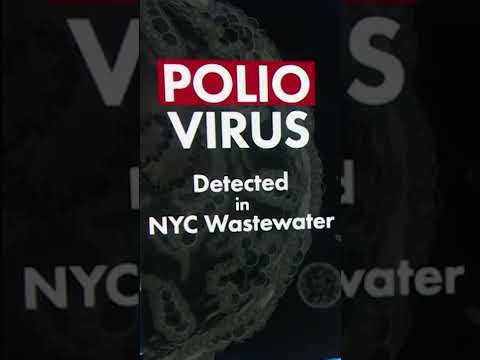 Polio detected in New York City's wastewater, suggesting virus is circulating #shorts