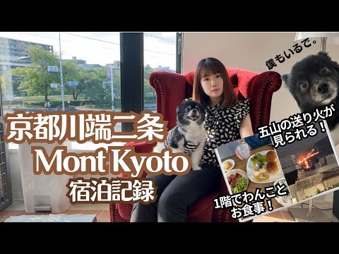 京都川端二条にある素敵なゲストハウス❗️Mont Kyotoさん❗️