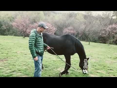 Henry with Plum and Horse in Schabarum Park 10/21/2023