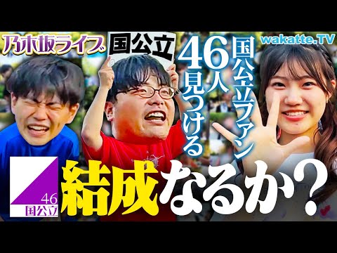 【学歴アイドル発足】乃木坂46ライブで国公立46人見つけるまで帰れません！【wakatte TV】#1125