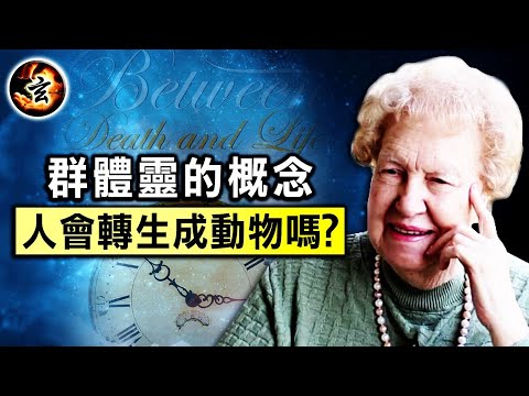 靈魂來源的層級；天堂和地獄是否真的存在？不同存在層面使用同樣的空間 - 《生死之間》3