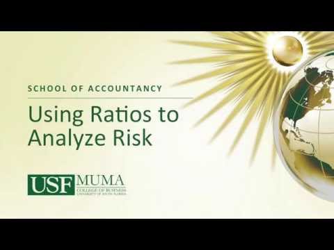 Using Ratios to Analyze Risks