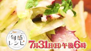 セロリ　7/31（日）午後6時放送【nippn presents 旬感レシピ】