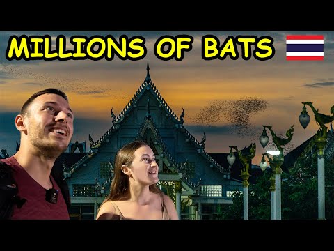 🦇 MILLIONS OF BATS flying out of a cave near Bangkok! RATCHABURI BAT CAVES