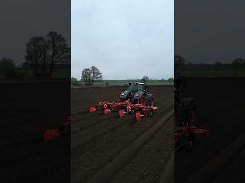 Dämme ziehen für die Kartoffeln🔥 #farming #landwirtschaft #viral #agriculture #2024 #farm #fendt